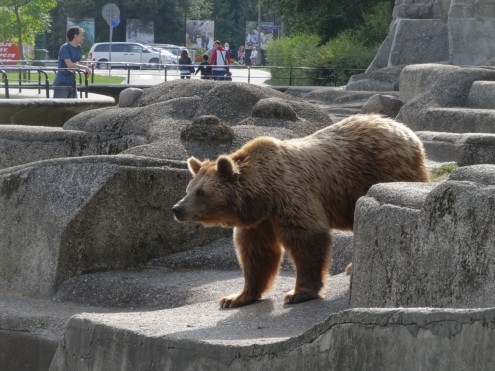 Urban Bear Pit, Warsaw