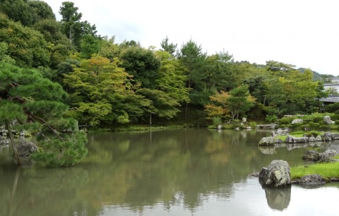 Garden at Tenryu-ji