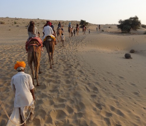 Camel safari, Jaisalmer desert
