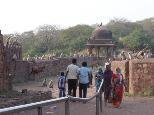 Ganesh Temple at Ranthambore Fort